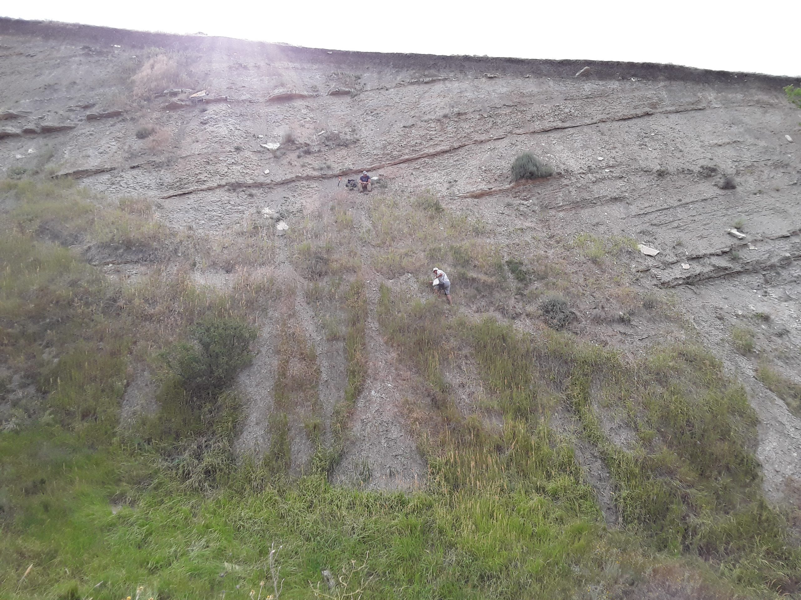 ГАУ РК ЦЛАТИ успешно завершило работы по геологическому изучению недр 2 21 scaled